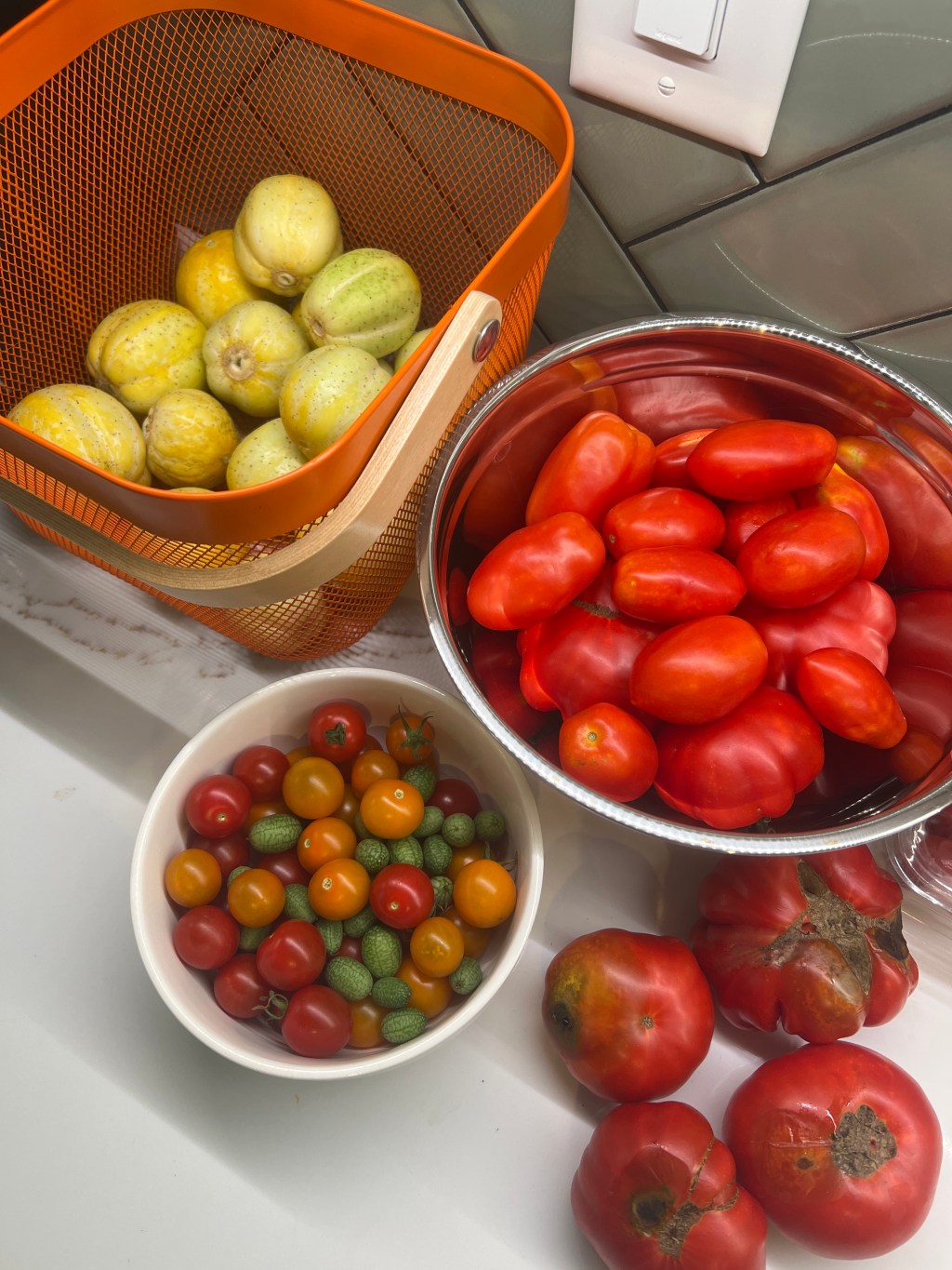 Mid-July Garden Update