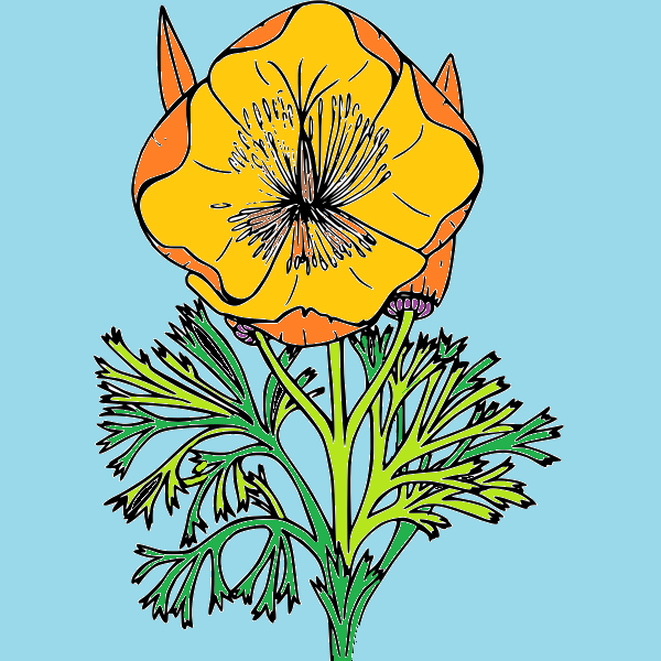 Coulwood Garden Club