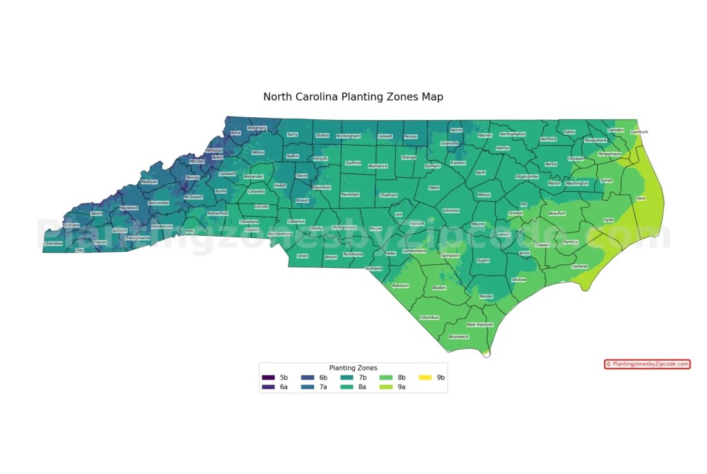 Zone 8 Frost&nbsp;Dates